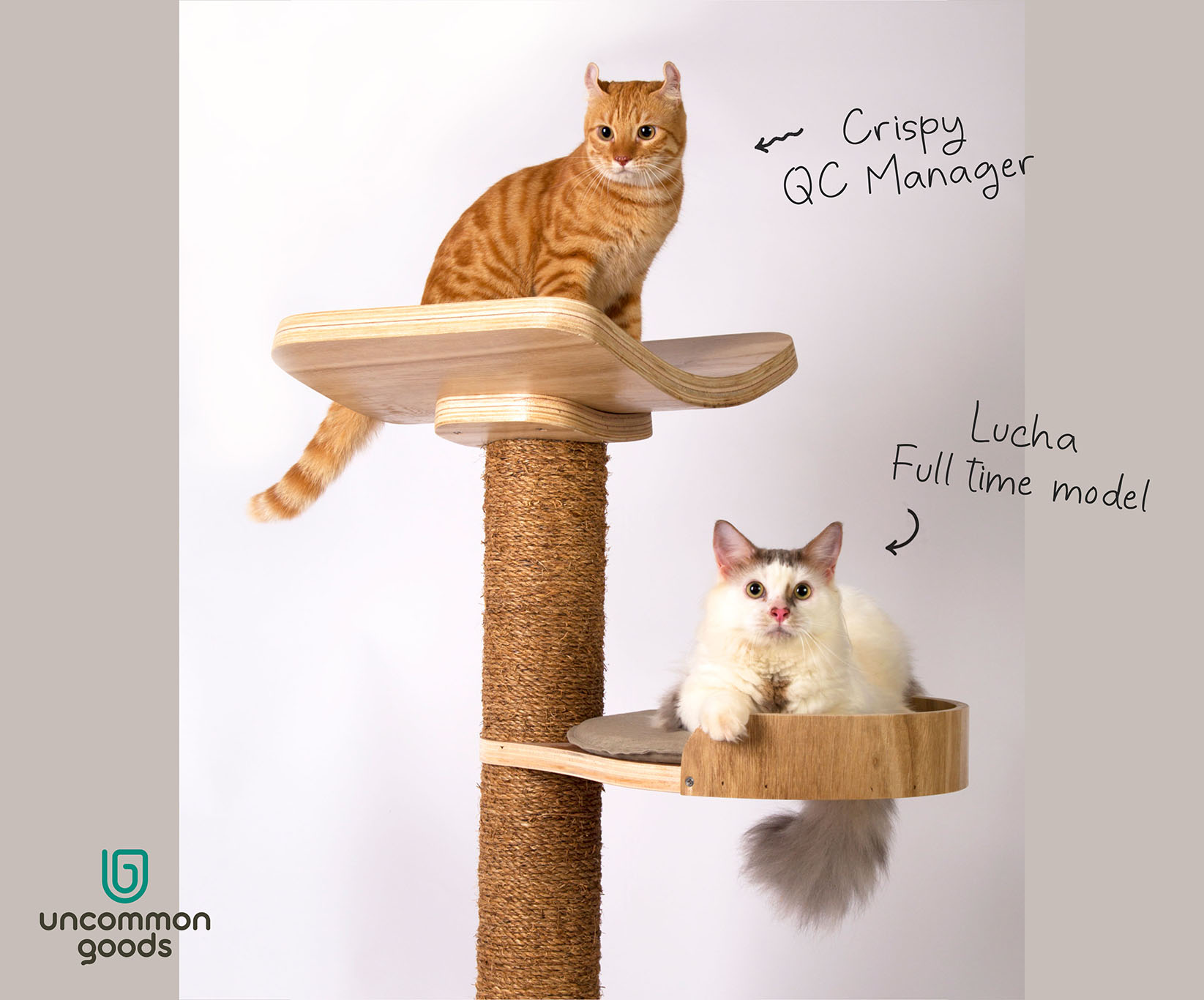 Uncommon Goods Singapore designs a unique cat tree for cats