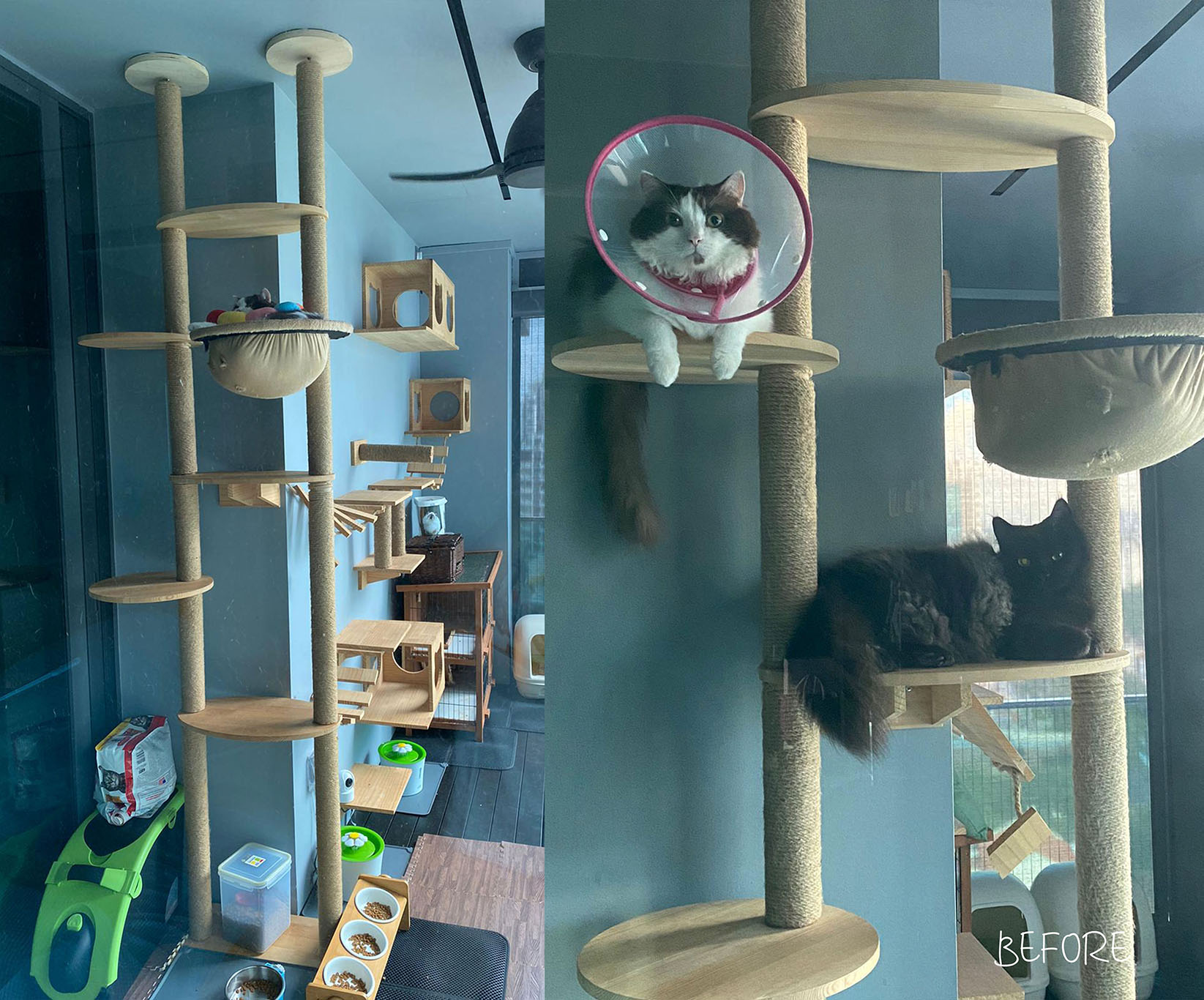 Before photo of their broken taobao cat gym