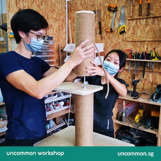 Uncommon Goods Singapore Cat Scratching Post Course