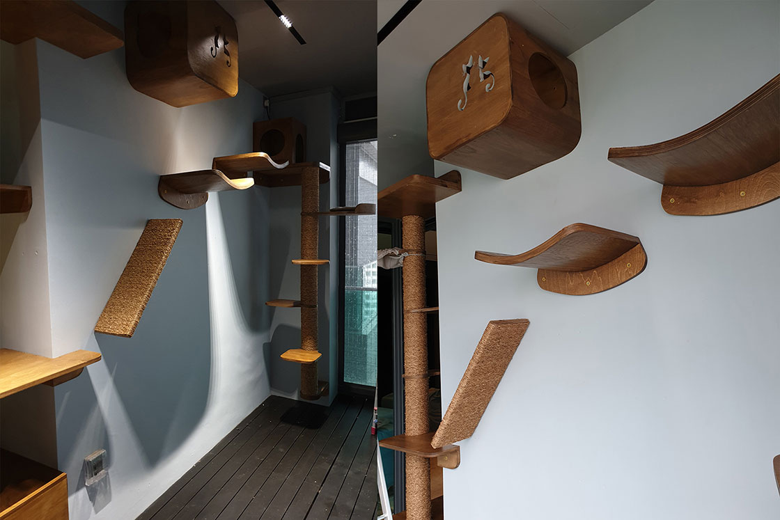 Uncommon Goods Singapore designs a custom wall for a condo, a cat agility wall for 5 cats