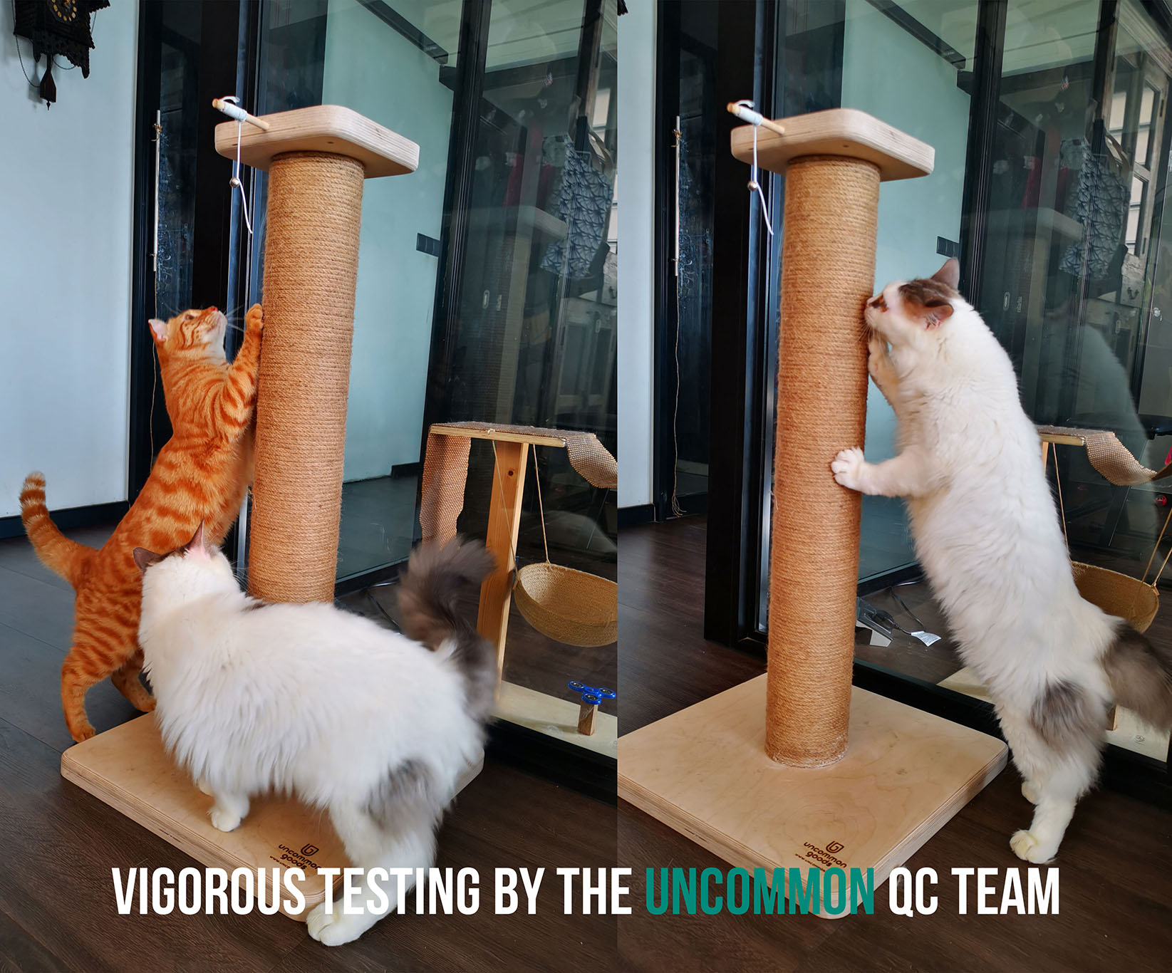 Uncommon Goods Singapore's Personalized cat scratching post