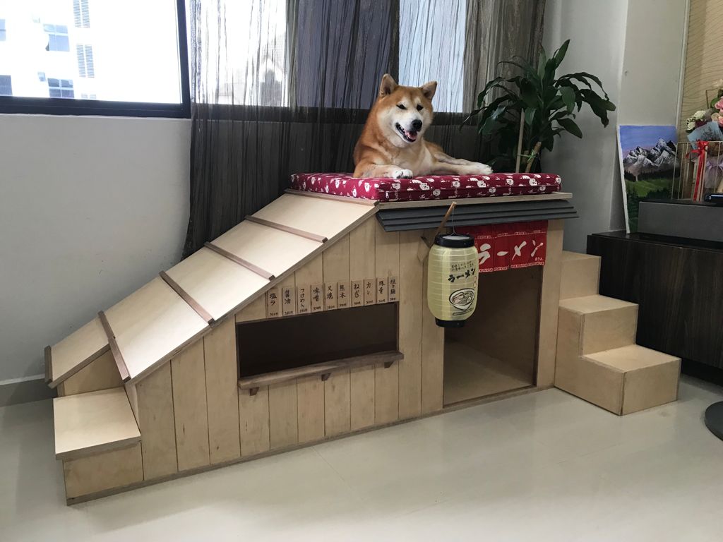 Uncommon Goods Singapore builds a custom dog agility station for an aging Shiba Inu dog